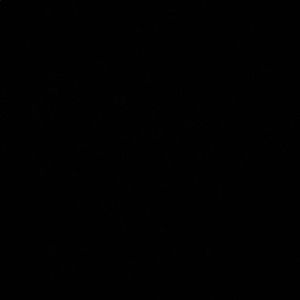 Meet your Posher, Sophie